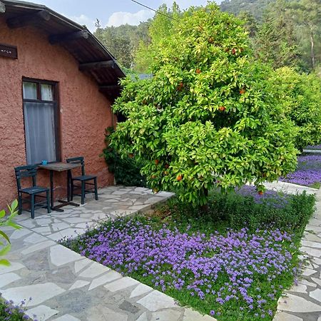 Simurg Evleri Olympos Exteriör bild