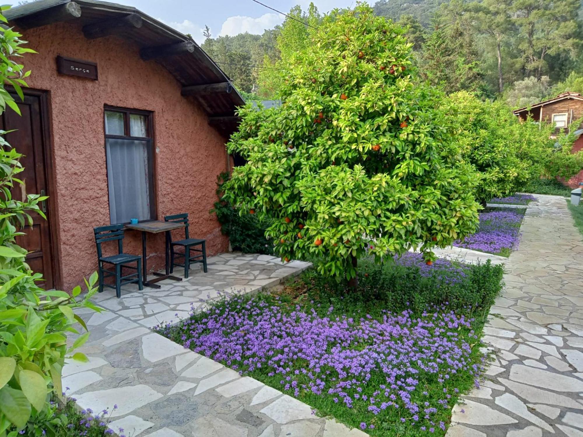 Simurg Evleri Olympos Exteriör bild