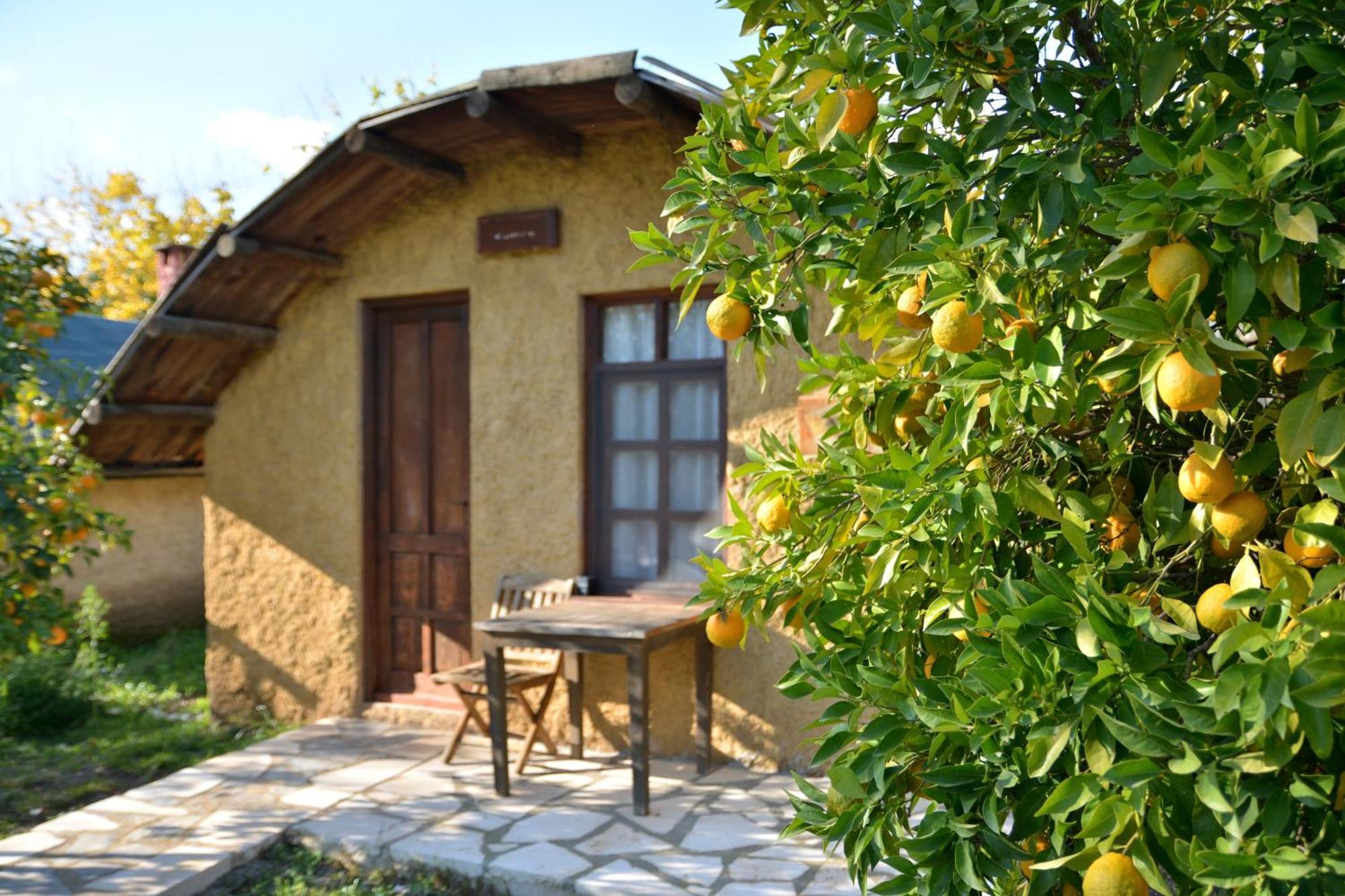 Simurg Evleri Olympos Exteriör bild
